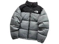 The North Face 1996 Retro Nuptse Jacket in Light Grey